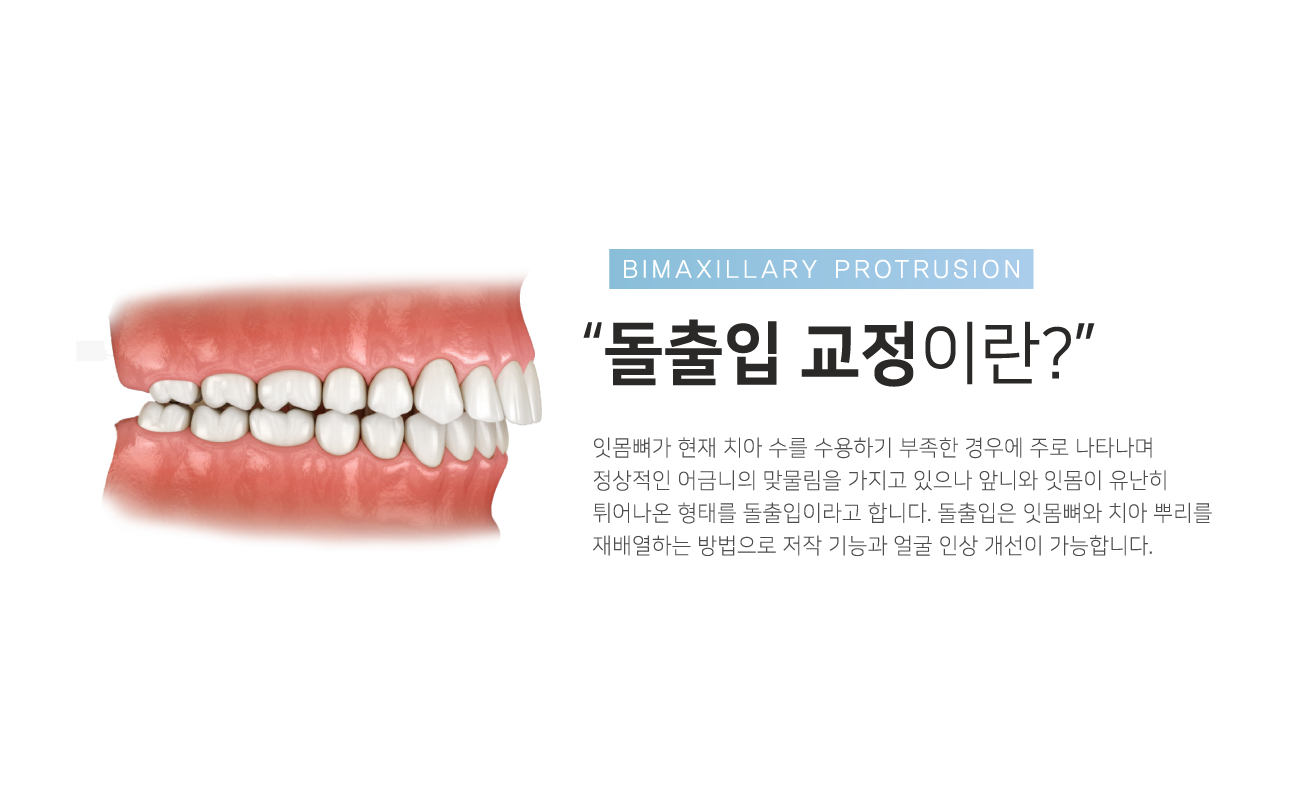 �����Ա���