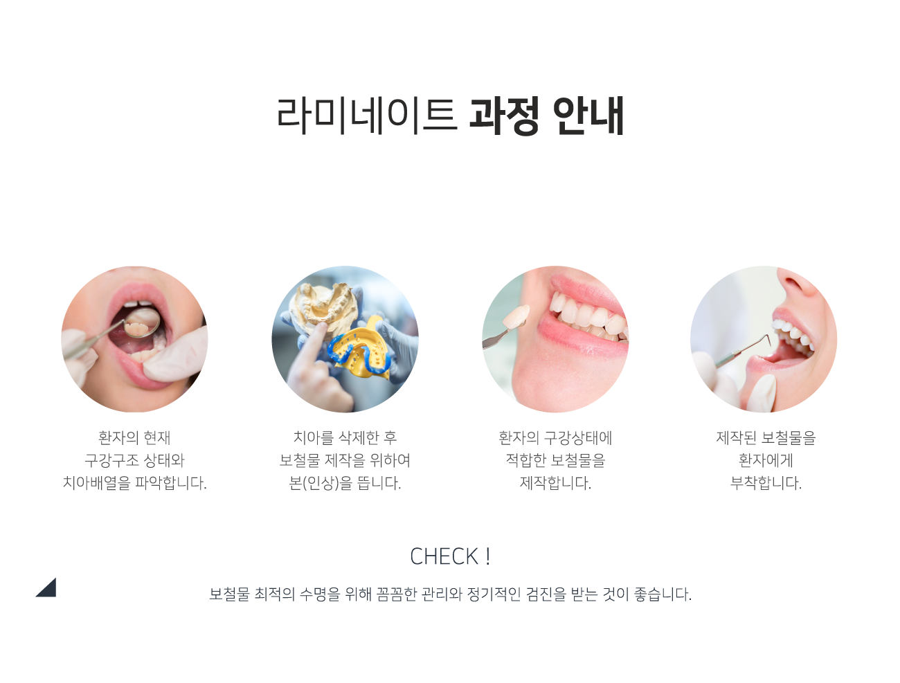 ��̳���Ʈ ���� �ȳ�